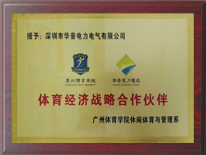 体育经济战略合作伙伴